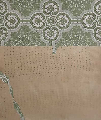 Dossier Régis Perray